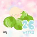 엠엔디(MND) | [임신 26주-27주 일상] 셀프 만삭 사진, 애견카페mnd, 하남애견동반식당, 착한쌈밥, 서울숲애견동반식당...
