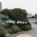 국제자동차학원내 이미지