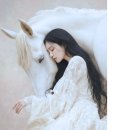 수원-0665 이미지