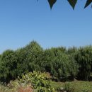 버들한의원 이미지