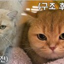 썸네일 - 사상구 | 썸네일