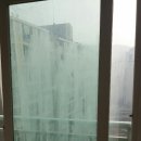 신세계유리