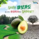 환경슈퍼 네이버블로그