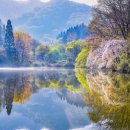 백미크리닝 이미지