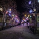 하이몽 | 가평 오토캠핑장 하이몽글램핑&amp;캠핑장 후기