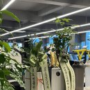 동천동주민센터주민사랑방 | 수지 동천동 헬스장 : 브로핏 • 250평 동천동 최대규모 오픈 헬스장 시설 주차 정보