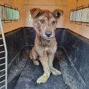 둔포면 충무로 이미지