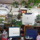 영복마트 이미지