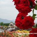 곡성-148 이미지