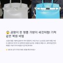 명품 마스터 크리닝 | 가방드라이 곰팡이 핀 명품 가방이 새것처럼! 세탁의달인 고객의 기적같은 복원 후기