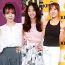 다솜 이미지