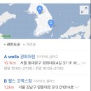 웰스샐러드
