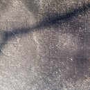 마을정자 옆 이미지