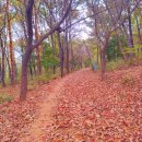 점성공원 이미지