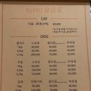 향남펫살롱 이미지