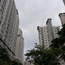 푸른숲공인중개사사무소 이미지