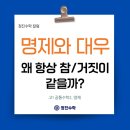 명제로-1 이미지