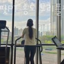 준토스핏 이미지