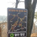 앞산 | 등산 왕초보의 대구 앞산 도전 후기