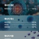 헬씨몰 | 케이헬씨 맞춤 영양제 후기-피로회복과 컨디션관리 위한 영양제추천