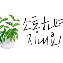 풀 식자재 마트 이미지