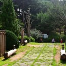 안면도자연휴양림 이미지