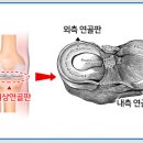 오를필라테스