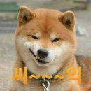 가봉루 이미지