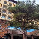 (주)동부산온천호텔 이미지