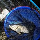 안양바다낚시터 이미지