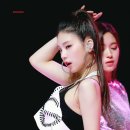 생생조개 이미지