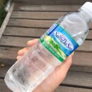 키위약국 | 임산부 변비 유산균 락토핏, 임산부 변비 키위/푸룬