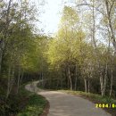 오솔길 이미지
