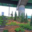 안양천 다목적광장 이미지