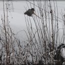 들꽃농장 이미지