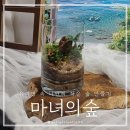 미니정원(테라리움) | 송파원데이클래스 마녀의숲 유리병 속 나만의 작은 정원 만들기💚