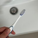 코랄리에 연예인치약 입냄새 제거 산호칼슘 잇몸치약 바질레몬 솔직 후기