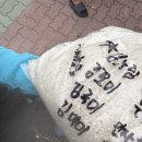 기장애견 | 부산 기장 해동용궁사 바다사찰 애견동반 방문 후기