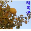 봉곡동033 이미지