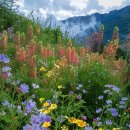 두메산골 이미지