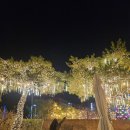 용분수 | 경주 동궁원 입장료 식물원 야경 할인 주차 음악분수