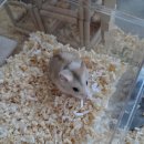 이앤박동물병원 이미지