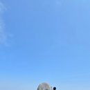 꽃피는산골스테이 이미지