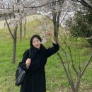 기똥차분식 | 마법의 소라고둥 아갓쉬라 불러줘요