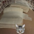 양수로 | 광주 에덴병원 양수검사 후기