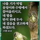 시편51 이미지