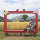보리뜰