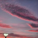 아르떼뮤지엄 이미지