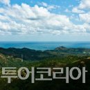 바다를품다 이미지