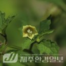 원산목장 이미지